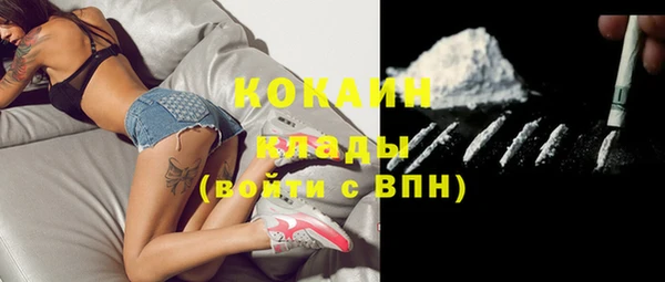 ГАЛЛЮЦИНОГЕННЫЕ ГРИБЫ Беломорск