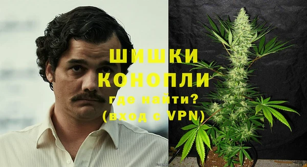 ГАЛЛЮЦИНОГЕННЫЕ ГРИБЫ Беломорск
