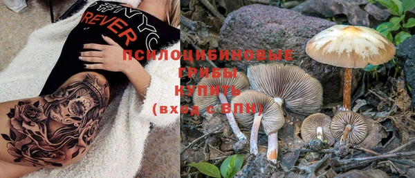 ГАЛЛЮЦИНОГЕННЫЕ ГРИБЫ Беломорск