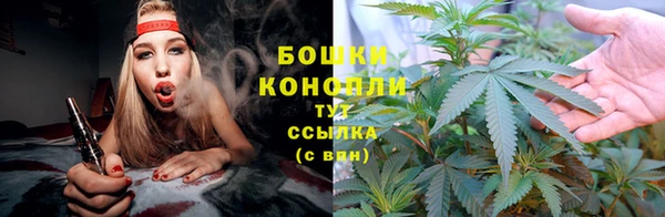 ГАЛЛЮЦИНОГЕННЫЕ ГРИБЫ Беломорск