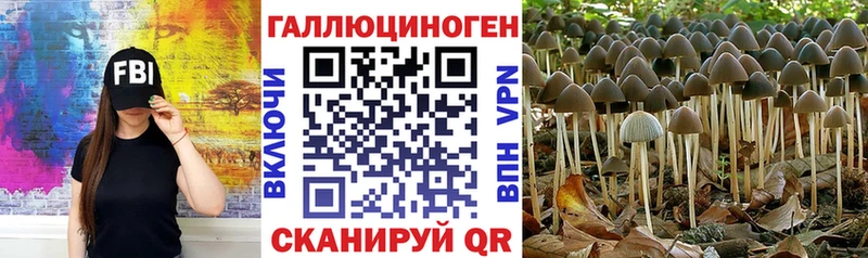 Галлюциногенные грибы Psilocybe  даркнет сайт  Мостовской 